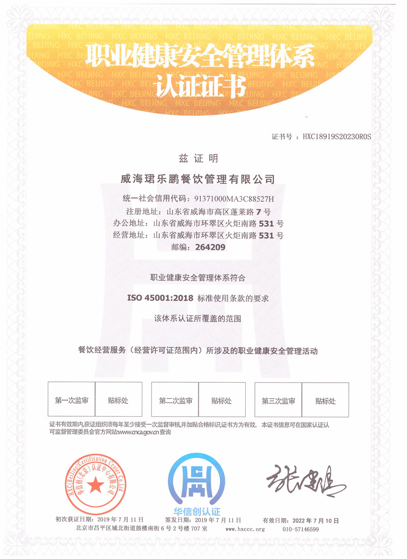 职业健康管理证书45001中文版.jpg